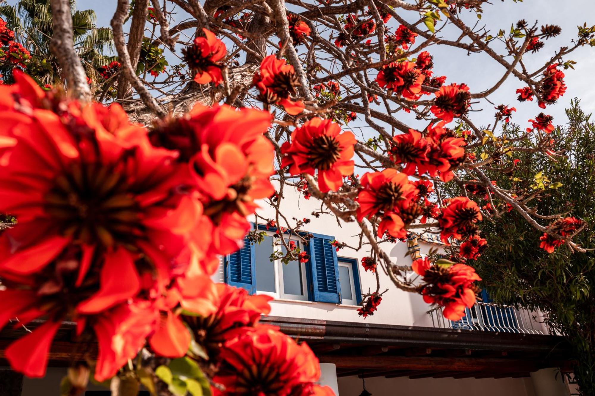 Hotel Residence La Villetta Каннето Экстерьер фото